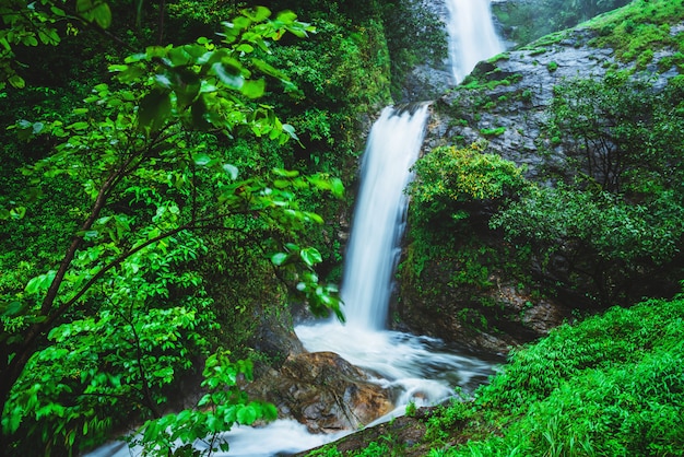 Chiangmai Mae-pan waterval in het regenachtige seizoenbos bij inti Doi