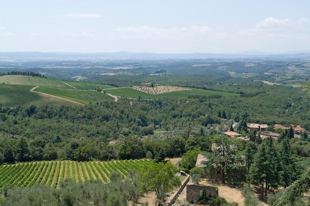 Chianti in Toscane