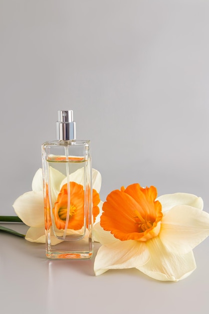 Photo a chic bottle of cosmetic spray or perfume against the background of a beautiful delicate narcissus gray background with a copy space