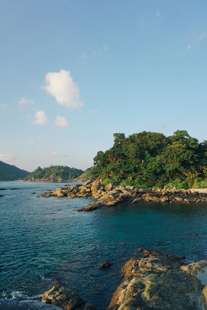 シックな暖かい夏の風景美しい背景