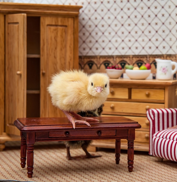 Foto la ragazza seduta su un piccolo tavolo alla casa delle bambole