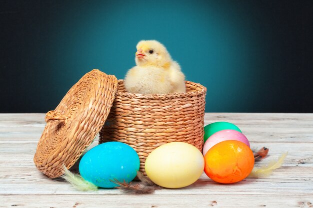 chick with easter eggs on wooden table