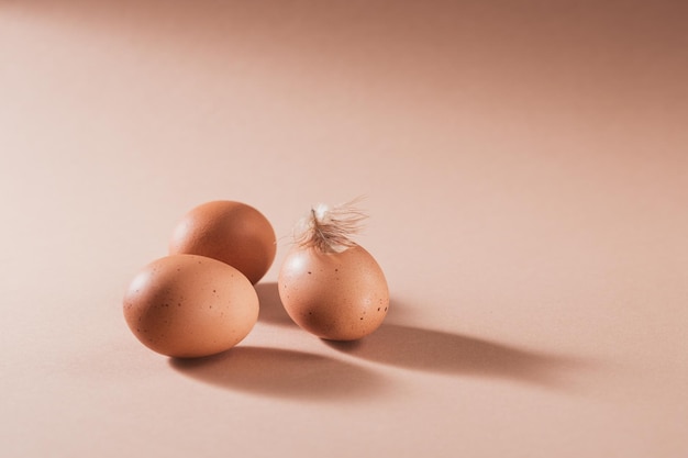 Chicken brown eggs on beige background