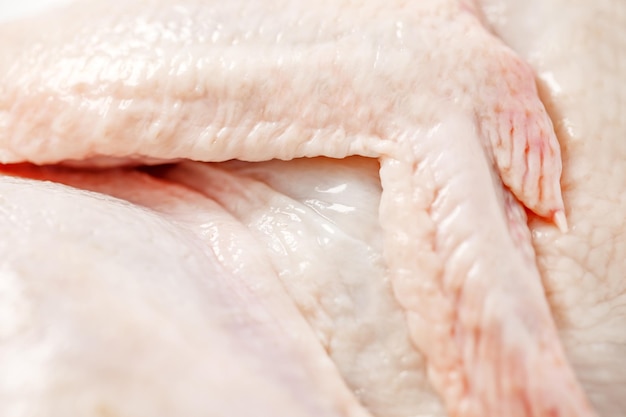 Chicken carcass raw wing closeup selective focus