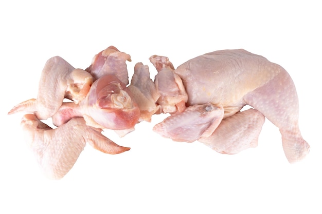 Chicken collection fresh isolated on white background