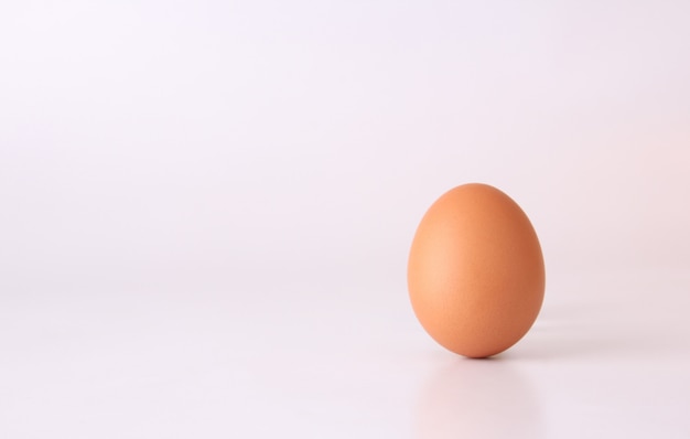 chicken egg isolated on white background