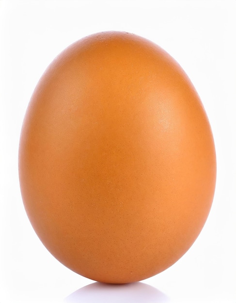 Photo chicken egg isolated on white background