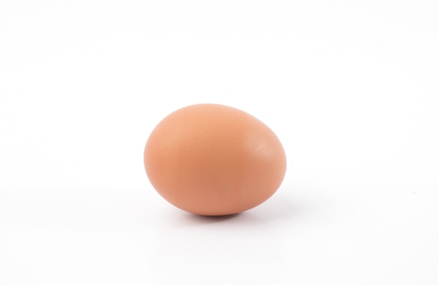 Chicken egg isolated