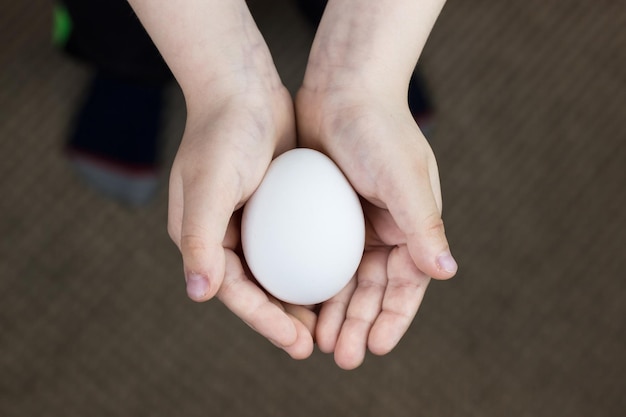 Chicken egg in small children's hands