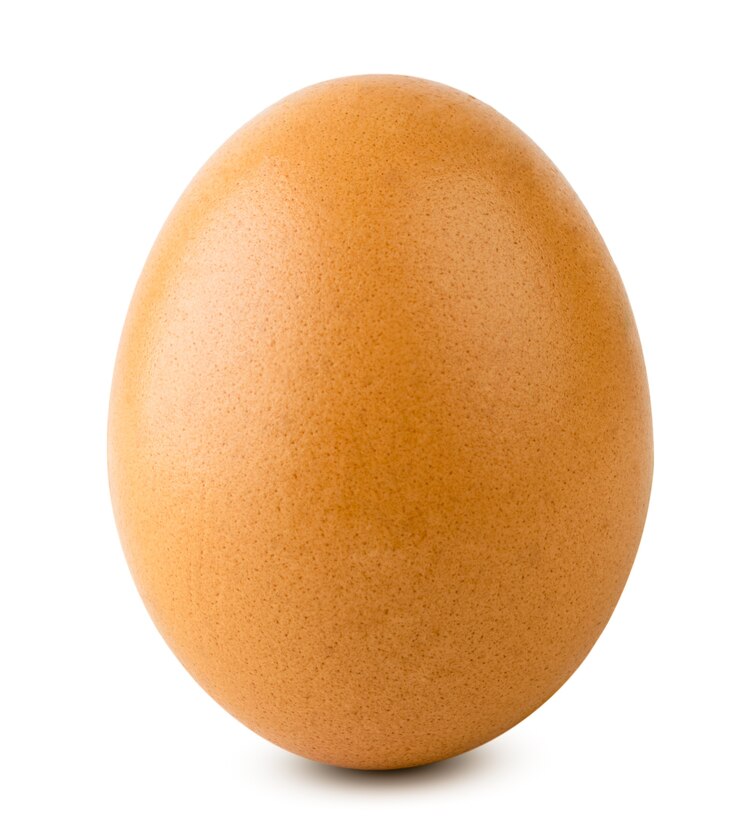 Photo chicken egg on a white background