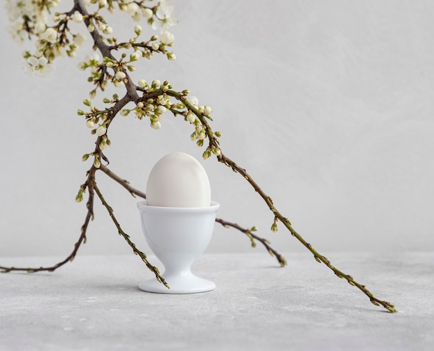 Chicken egg in a white egg stand and flower branch