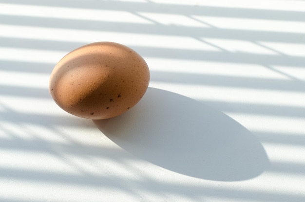 Chicken egg on a white table a drop shadow from the blinds and from the egg