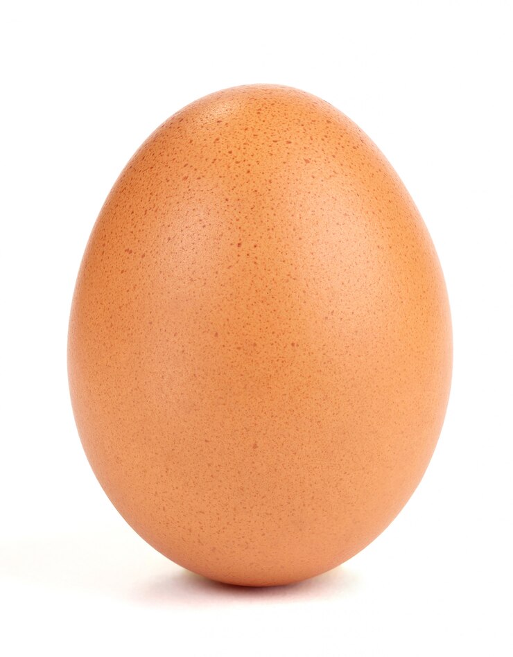Photo chicken egg on white 
