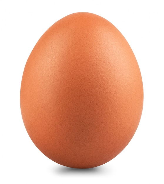 Chicken egg