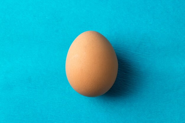 chicken egg