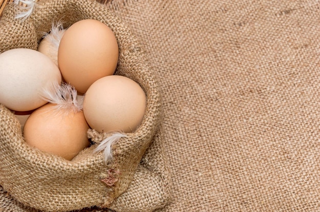 Chicken eggs in bag from burlap