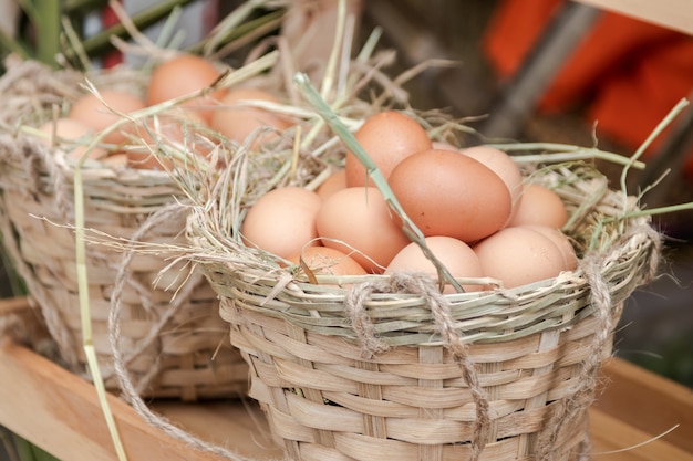 Chicken eggs basket in the hey in the farm