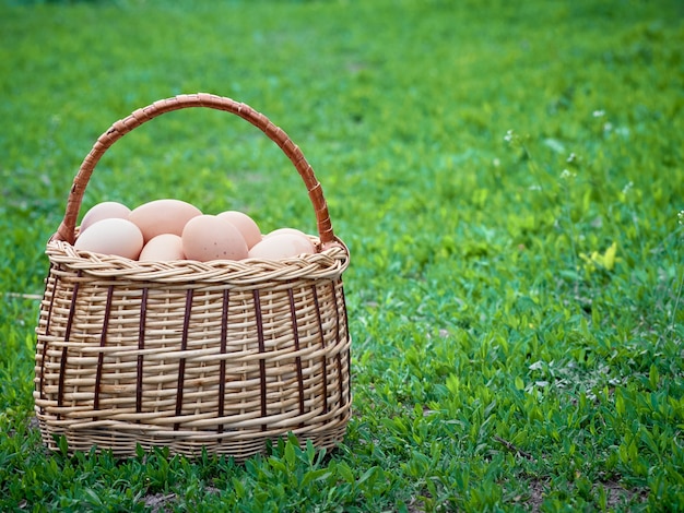 Chicken eggs in a basket.