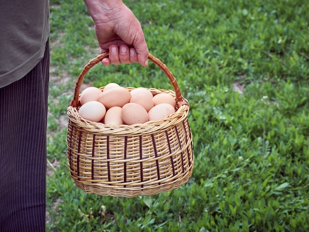 Uova di gallina in un cestino.