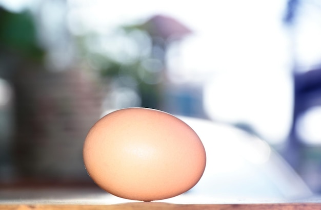 Foto uova di gallina su uno sfondo sfocato
