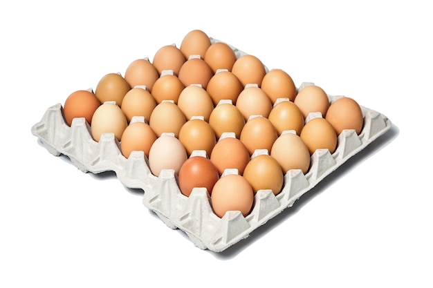 Куриные яйца в картонном лотке изолированы