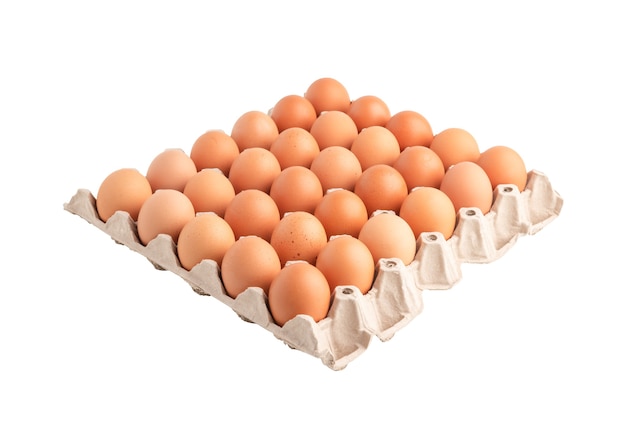 Chicken eggs in the carton paper isolated on the white surface with clipping paths