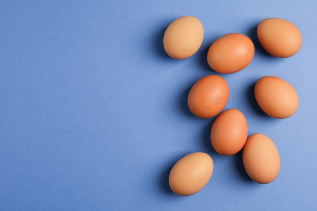 Chicken eggs on color