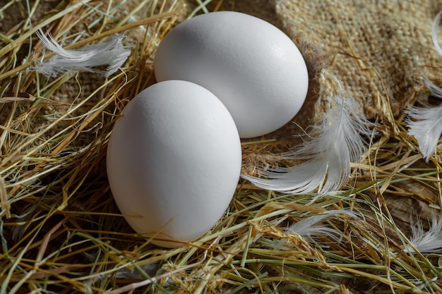 Foto uova di gallina sull'erba secca su uno sfondo vecchio