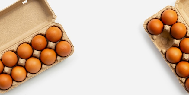 Куриные яйца в яичных коробках на белом фоне.
