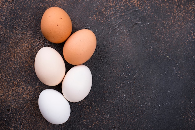 Chicken eggs gradient from light to dark