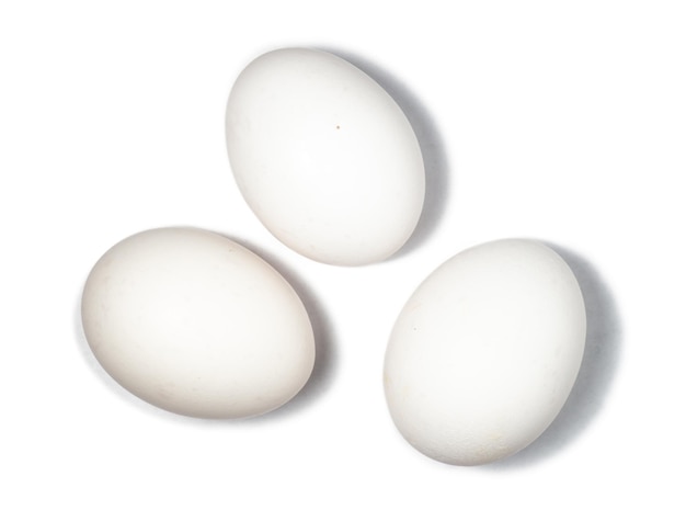 Chicken eggs isolate White on white Agroprom Poultry farm Ingredient for many dishes Protein concept Eggs in shell Unshelled