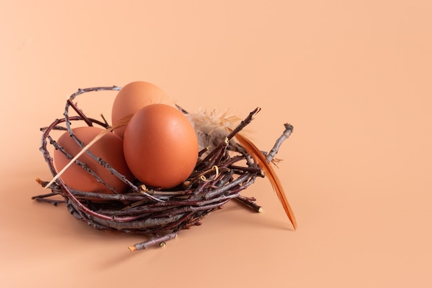 Chicken eggs in a nest on beige