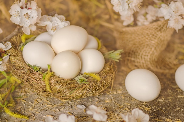 Chicken eggs in the nest Nest with eggs on vintage wooden background