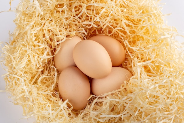 巣の中の鶏の卵