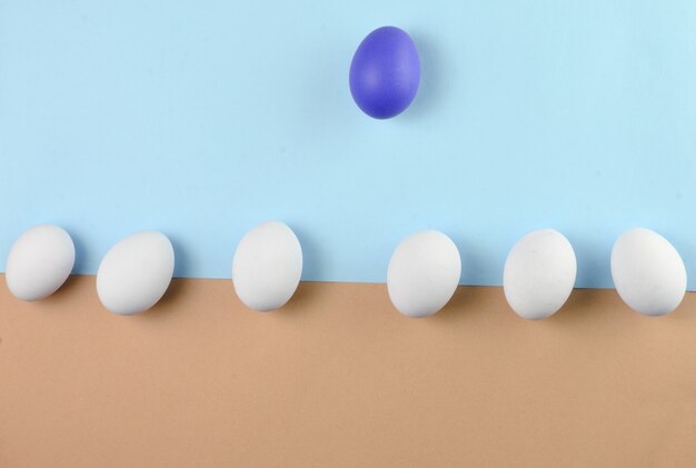 Chicken eggs on a pastel background