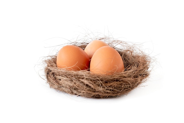 Chicken eggs in a straw nest