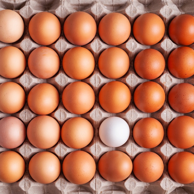 Chicken eggs in tray close-up