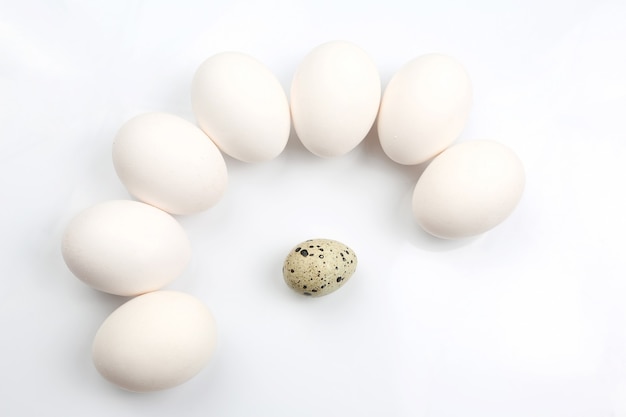 Photo chicken eggs on white background