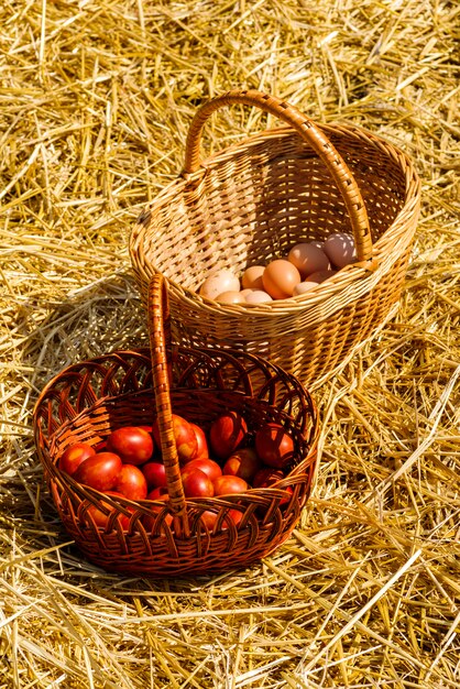 Chicken eggs with fresh and colored