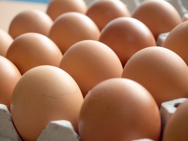 Chicken Eggs