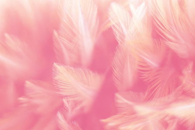 Generative AI, Beautiful light pink closeup feathers, photorealistic  background. Small fluffy pink feathers randomly scattered forming 22356035  Stock Photo at Vecteezy