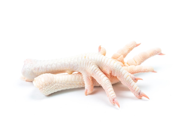 Chicken feet on white background