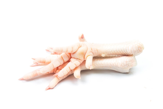 Chicken feet on white background