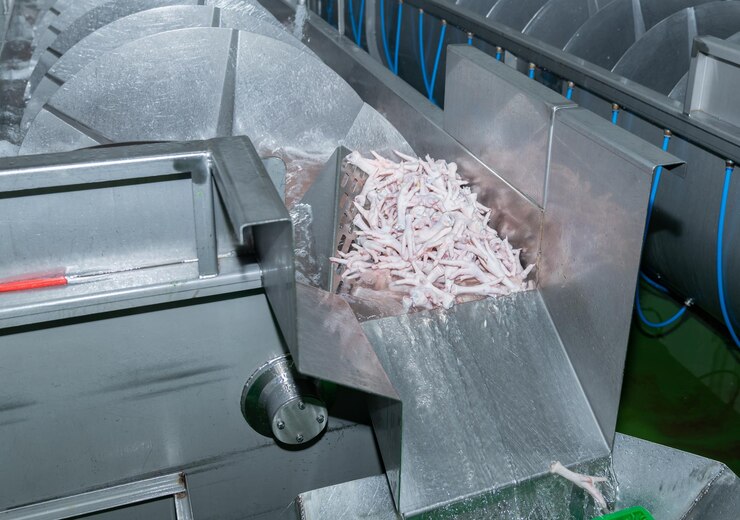 Photo chicken feets load out from chiller tank after reduce temperature and cleaning