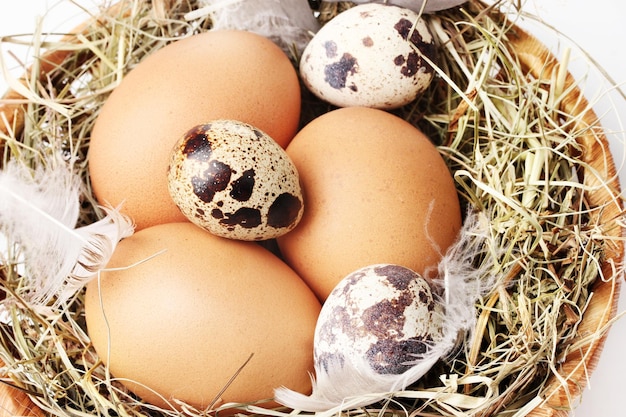 Chicken and quail eggs in a nest closeup