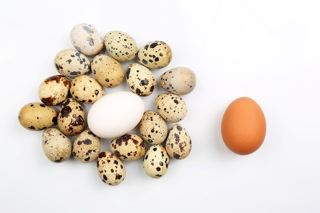 Chicken and quail eggs on white background