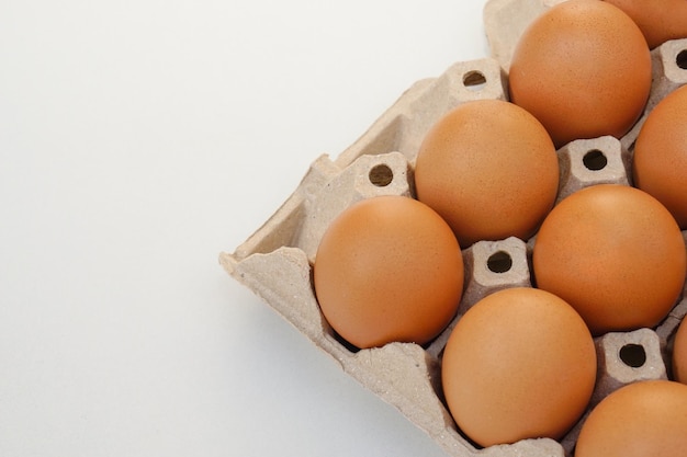 Chicken raw eggs in paper egg panel or in an egg stall on white background