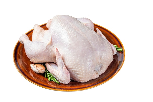 Курица сырая птица в деревенской тарелке с розмарином на белом фоне