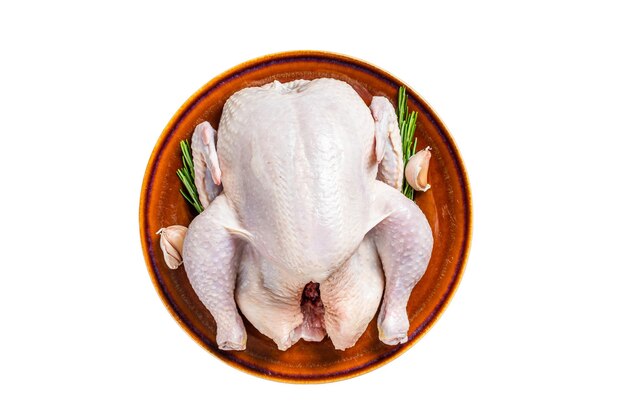 Chicken raw poultry in a rustic plate with rosemary Isolated on white background