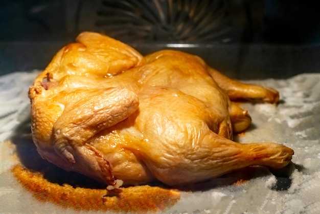 Chicken roasted in the oven until golden brown on salt